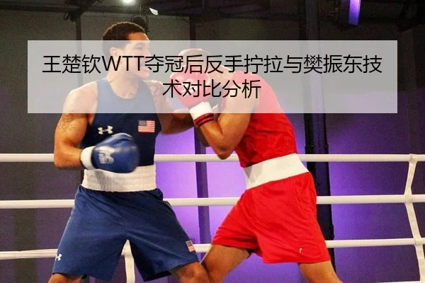 王楚钦WTT夺冠后反手拧拉与樊振东技术对比分析
